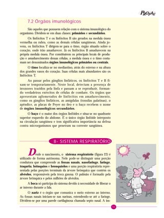 51
PPPPP EEEEEAAAAARRRRROOOOOFFFFF
7.2 Órgãos imunológicos
São aqueles que possuem relação com o sistema imunológico do
organismo. Dividem-se em duas classes: primários e secundários.
Os linfócitos T e os linfócitos B são gerados na medula óssea
vermelha ou rubra, como as demais células sangüíneas. Ainda jo-
vens, os linfócitos T dirigem-se para o timo, órgão situado sobre o
coração, onde irão amadurecer. Já os linfócitos B amadurecem na
própria medula óssea. Por constituírem os principais locais de produ-
ção e amadurecimento dessas células, a medula óssea e o timo costu-
mam ser denominados órgãos imunológicos primários ou centrais.
O timo localiza-se no mediastino, atrás do esterno e na altura
dos grandes vasos do coração. Suas células mais abundantes são os
linfócitos T.
Ao passar pelos gânglios linfáticos, os linfócitos T e B fi-
xam-se temporariamente. Neste local, detectam a presença de
invasores trazidos pela linfa e passam a se reproduzir, forman-
do verdadeiros exércitos de células de combate. Os órgãos que
apresentam aglomerados de linfócitos em amadurecimento,
como os gânglios linfáticos, as amígdalas (tonsilas palatinas), o
apêndice, as placas de Peyer no íleo e o baço recebem o nome
de órgãos imunológicos secundários.
O baço é o maior dos órgãos linfóides e situa-se no quadrante
superior esquerdo do abdome. É o único órgão linfóide interposto
na circulação sangüínea e tem significativa importância na defesa
contra microrganismos que penetram na corrente sangüínea.
8- SISTEMA RESPIRATÓRIO
Desde o nascimento, o sistema respiratório (figura 22) é
utilizado de forma autônoma. Nele pode-se distinguir uma porção
condutora que compreende as fossas nasais, nasofaringe, laringe,
traquéia, brônquios e bronquíolos e uma porção respiratória repre-
sentada pelas porções terminais da árvore brônquica que contém os
alvéolos, responsáveis pela troca gasosa. O pulmão é formado pela
árvore brônquica e pelos milhões de alvéolos.
A boca só participa do sistema devido à necessidade de liberar o
ar interno durante a fala.
O nariz é o órgão que comunica o meio externo ao interno.
As fossas nasais iniciam-se nas narinas, estendendo-se até a faringe.
Dividem-se por uma parede cartilaginosa chamada septo nasal. A ins-
 