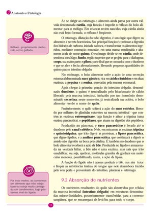 58
1 Anatomia e Fisiologia
Ao se dirigir ao estômago o alimento ainda passa por outra vál-
vula denominada cárdia, cuja função é impedir o refluxo do bolo ali-
mentar para o esôfago. Em crianças recém-nascidas, cuja cárdia ainda
não está bem formada, o refluxo é freqüente.
O estômago, dilatação do tubo digestivo, é um órgão que digere os
alimentos e secreta hormônios. Sua principal função é continuar a digestão
dos hidratos de carbono, iniciada na boca, e transformar os alimentos inge-
ridos, mediante contração muscular, em uma massa semilíquida e alta-
mente ácida de nome quimo. O estômago divide-se em cárdia, onde de-
semboca o esôfago; fundo, região superior que se projeta para o diafragma;
corpo,suamaiorparte;epiloro,partefinalquesecomunicacomoduodeno
e que se abre e fecha alternadamente, liberando pequenas quantidades de
quimo para o intestino delgado.
No estômago, o bolo alimentar sofre a ação de uma secreção
estomacal denominada suco gástrico, rica em ácido clorídrico e em duas
enzimas, a pepsina e a renina, secretadas pela mucosa estomacal.
Após chegar à primeira porção do intestino delgado, denomi-
nado duodeno, o quimo é neutralizado pelo bicarbonato de cálcio
liberado pela mucosa intestinal, induzido por um hormônio deno-
minado secretina; nesse momento, já neutralizada sua acidez, o bolo
alimentar recebe o nome de quilo.
Posteriormente, o quilo sofrerá a ação do suco entérico, libera-
do por milhares de glândulas existentes na mucosa intestinal - que con-
tém as enzimas enteroquinase, cuja função é ativar a tripsina (uma
enzima pancreática), e peptidases, que atuam na digestão dos peptídeos.
Produzido no pâncreas, o suco pancreático é levado até o
duodeno pelo canal colédoco. Nele, encontramos as enzimas tripsina
e quimiotripsina, que irão digerir as proteínas, a lipase pancreática,
que digere lipídios, e a amilase pancreática, que continuará a digerir o
amido não digerido na boca pela ptialina. É também no duodeno que o
bolo alimentar receberá a ação da bile. Produzida no fígado e armazena-
da na vesícula biliar, a bile não é uma enzima, mas sais que irão
emulsificar, ou seja, quebrar, moléculas grandes de gordura em molé-
culas menores, possibilitando, assim, a ação da lipase.
A função do fígado não é apenas produzir a bile, mas sim tratar
e limpar as substâncias tóxicas do sangue que nele desemboca trazido
pela veia porta e proveniente do intestino, pâncreas e estômago.
9.2 Absorção de nutrientes
Os nutrientes resultantes do quilo são absorvidos por células
da mucosa intestinal (intestino delgado) em estruturas denomina-
das microvilosidades, posteriormente transferidas para a corrente
sangüínea, que se encarregará de levá-los para todo o corpo.
Refluxo - propriamente conhe-
cido como golfada.
Por esse motivo, ao comermos
um alimento que não esteja
bom ou esteja muito carrega-
do em condimentos, logo pas-
samos mal do fígado.
 