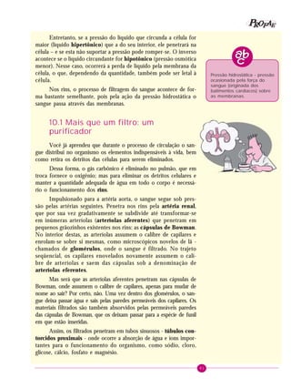 61
PPPPP EEEEEAAAAARRRRROOOOOFFFFF
Pressão hidrostática - pressão
ocasionada pela força do
sangue (originada dos
batimentos cardíacos) sobre
as membranas.
Entretanto, se a pressão do líquido que circunda a célula for
maior (líquido hipertônico) que a do seu interior, ele penetrará na
célula – e se esta não suportar a pressão pode romper-se. O inverso
acontece se o líquido circundante for hipotônico (pressão osmótica
menor). Nesse caso, ocorrerá a perda de líquido pela membrana da
célula, o que, dependendo da quantidade, também pode ser letal à
célula.
Nos rins, o processo de filtragem do sangue acontece de for-
ma bastante semelhante, pois pela ação da pressão hidrostática o
sangue passa através das membranas.
10.1 Mais que um filtro: um
purificador
Você já aprendeu que durante o processo de circulação o san-
gue distribui no organismo os elementos indispensáveis à vida, bem
como retira os detritos das células para serem eliminados.
Dessa forma, o gás carbônico é eliminado no pulmão, que em
troca fornece o oxigênio; mas para eliminar os detritos celulares e
manter a quantidade adequada de água em todo o corpo é necessá-
rio o funcionamento dos rins.
Impulsionado para a artéria aorta, o sangue segue sob pres-
são pelas artérias seguintes. Penetra nos rins pela artéria renal,
que por sua vez gradativamente se subdivide até transformar-se
em inúmeras arteríolas (arteríolas aferentes) que penetram em
pequenos grãozinhos existentes nos rins: as cápsulas de Bowman.
No interior destas, as arteríolas assumem o calibre de capilares e
enrolam-se sobre si mesmas, como microscópicos novelos de lã -
chamados de glomérulos, onde o sangue é filtrado. No trajeto
seqüencial, os capilares enovelados novamente assumem o cali-
bre de arteríolas e saem das cápsulas sob a denominação de
arteríolas eferentes.
Mas será que as arteríolas aferentes penetram nas cápsulas de
Bowman, onde assumem o calibre de capilares, apenas para mudar de
nome ao sair? Por certo, não. Uma vez dentro dos glomérulos, o san-
gue deixa passar água e sais pelas paredes permeáveis dos capilares. Os
materiais filtrados são também absorvidos pelas permeáveis paredes
das cápsulas de Bowman, que os deixam passar para a espécie de funil
em que estão inseridas.
Assim, os filtrados penetram em tubos sinuosos - túbulos con-
torcidos proximais - onde ocorre a absorção de água e íons impor-
tantes para o funcionamento do organismo, como sódio, cloro,
glicose, cálcio, fosfato e magnésio.
 