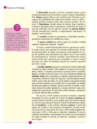 68
1 Anatomia e Fisiologia
Quando, por qualquer
eventualidade, a parte superi-
or do tronco cerebral não
interage a contento com os
hemisférios cerebrais, o nível
de consciência é afetado pois
nessa área localizam-se os
mecanismos de ativação e
vigília. Se a lesão for extensa,
pode levar ao coma.
O diencéfalo circunda o terceiro ventrículo, forma a parte
central mais importante do encéfalo e contém o tálamo e hipotálamo.
Pelo tálamo passam todas as vias sensitivas que informam as per-
cepções da sensibilidade dos órgãos dos sentidos, exceto o olfato –
também percebe sensações como calor extremo, pressão e dor in-
tensa. O hipotálamo, situado abaixo do tálamo, aloja a hipófise e
controla as principais funções vegetativas e endócrinas do corpo. É
uma das principais vias de saída de controle do sistema límbico
(circuito neuronal que controla o comportamento emocional e os
impulsos motivacionais).
O cerebelo controla os movimentos, a tonicidade muscular e
participa da manutenção do equilíbrio do corpo.
O tronco cerebral une todas as partes do encéfalo à medula
espinhal, vulgarmente chamada “espinha”.
O tronco cerebral desempenha funções especiais de contro-
le, dentre outras, da respiração, do sistema cardiovascular, da fun-
ção gastrintestinal, de alguns movimentos estereotipados do cor-
po, do equilíbrio, dos movimentos dos olhos. Serve como estação
de retransmissão de “sinais de comando” provenientes de centros
neurais ainda mais superiores que comandam o tronco cerebral
para que este inicie ou modifique funções de controle específico
por todo o corpo.
A medula espinhal encontra-se no interior do canal formado pelas
vértebras da coluna vertebral. Dela irradiam-se 33 pares de nervos espi-
nhais, à direita e à esquerda, que inervam o pescoço, tronco e membros,
ligando o encéfalo ao resto do corpo e vice-versa. É também mediadora da
atividade reflexa (atos instantâneos, realizados independentemente da
consciência). Estende-se da base do crânio até o nível da segunda vértebra
lombar, pouco acima da cintura. Se você já assistiu a uma punção lombar
(para anestesia peridural, por exemplo) deve ter percebido os cuidados
adotados para apalpar as vértebras, visando evitar lesão na medula. A subs-
tância cinzenta da medula espinhal tem o formato da letra H, cujas extre-
midades são a raiz anterior, de onde saem as fibras motoras, e raiz posteri-
or, local de saída das fibras sensitivas.
Por sua vez, o SNP consiste nos nervos cranianos e espinhais.
Emergindo do tronco cerebral, há 12 pares de nervos cranianos que
exercem funções específicas e nem sempre estão sob controle voluntá-
rio. Os nervos que possuem fibras de controle involuntário são chama-
dos de sensitivos; e os de controle voluntário, motores. A partir dos
órgãos dos sentidos e dos receptores (terminações nervosas sensiti-
vas), presentes em várias partes do corpo, o SNP conduz impulsos ner-
vosos para o SNC, e deste para os músculos e glândulas. Os nervos
espinhais são divididos e denominados de acordo com sua localização
na coluna vertebral: 8 cervicais, 12 torácicos, 5 lombares, 5 sacrais e
um coccígeo.
 