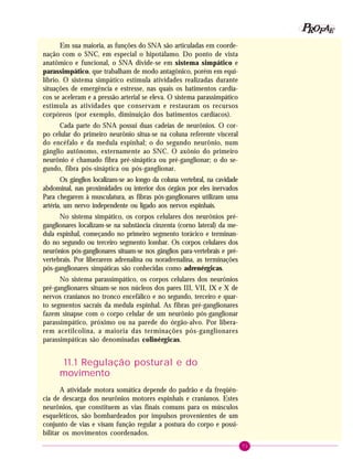 71
PPPPP EEEEEAAAAARRRRROOOOOFFFFF
Em sua maioria, as funções do SNA são articuladas em coorde-
nação com o SNC, em especial o hipotálamo. Do ponto de vista
anatômico e funcional, o SNA divide-se em sistema simpático e
parassimpático, que trabalham de modo antagônico, porém em equi-
líbrio. O sistema simpático estimula atividades realizadas durante
situações de emergência e estresse, nas quais os batimentos cardía-
cos se aceleram e a pressão arterial se eleva. O sistema parassimpático
estimula as atividades que conservam e restauram os recursos
corpóreos (por exemplo, diminuição dos batimentos cardíacos).
Cada parte do SNA possui duas cadeias de neurônios. O cor-
po celular do primeiro neurônio situa-se na coluna referente visceral
do encéfalo e da medula espinhal; o do segundo neurônio, num
gânglio autônomo, externamente ao SNC. O axônio do primeiro
neurônio é chamado fibra pré-sináptica ou pré-ganglionar; o do se-
gundo, fibra pós-sináptica ou pós-ganglionar.
Os gânglios localizam-se ao longo da coluna vertebral, na cavidade
abdominal, nas proximidades ou interior dos órgãos por eles inervados
Para chegarem à musculatura, as fibras pós-ganglionares utilizam uma
artéria, um nervo independente ou ligado aos nervos espinhais.
No sistema simpático, os corpos celulares dos neurônios pré-
ganglionares localizam-se na substância cinzenta (corno lateral) da me-
dula espinhal, começando no primeiro segmento torácico e terminan-
do no segundo ou terceiro segmento lombar. Os corpos celulares dos
neurônios pós-ganglionares situam-se nos gânglios para-vertebrais e pré-
vertebrais. Por liberarem adrenalina ou noradrenalina, as terminações
pós-ganglionares simpáticas são conhecidas como adrenérgicas.
No sistema parassimpático, os corpos celulares dos neurônios
pré-ganglionares situam-se nos núcleos dos pares III, VII, IX e X de
nervos cranianos no tronco encefálico e no segundo, terceiro e quar-
to segmentos sacrais da medula espinhal. As fibras pré-ganglionares
fazem sinapse com o corpo celular de um neurônio pós-ganglionar
parassimpático, próximo ou na parede do órgão-alvo. Por libera-
rem acetilcolina, a maioria das terminações pós-ganglionares
parassimpáticas são denominadas colinérgicas.
11.1 Regulação postural e do
movimento
A atividade motora somática depende do padrão e da freqüên-
cia de descarga dos neurônios motores espinhais e cranianos. Estes
neurônios, que constituem as vias finais comuns para os músculos
esqueléticos, são bombardeados por impulsos provenientes de um
conjunto de vias e visam função regular a postura do corpo e possi-
bilitar os movimentos coordenados.
 