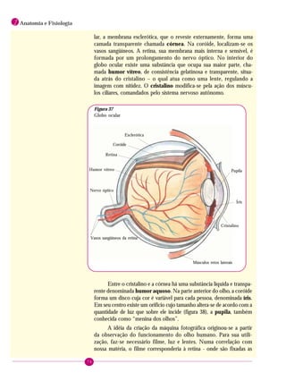 74
1 Anatomia e Fisiologia
lar, a membrana esclerótica, que o reveste externamente, forma uma
camada transparente chamada córnea. Na coróide, localizam-se os
vasos sangüíneos. A retina, sua membrana mais interna e sensível, é
formada por um prolongamento do nervo óptico. No interior do
globo ocular existe uma substância que ocupa sua maior parte, cha-
mada humor vítreo, de consistência gelatinosa e transparente, situa-
da atrás do cristalino – o qual atua como uma lente, regulando a
imagem com nitidez. O cristalino modifica-se pela ação dos múscu-
los ciliares, comandados pelo sistema nervoso autônomo.
Músculos retos laterais
Esclerótica
Coróide
Retina
Humor vítreo
Nervo óptico
Pupila
Íris
Vasos sangüíneos da retina
Cristalino
Figura 37
Globo ocular
Entre o cristalino e a córnea há uma substância líquida e transpa-
rente denominada humor aquoso. Na parte anterior do olho, a coróide
forma um disco cuja cor é variável para cada pessoa, denominada íris.
Em seu centro existe um orifício cujo tamanho altera-se de acordo com a
quantidade de luz que sobre ele incide (figura 38), a pupila, também
conhecida como “menina dos olhos”.
A idéia da criação da máquina fotográfica originou-se a partir
da observação do funcionamento do olho humano. Para sua utili-
zação, faz-se necessário filme, luz e lentes. Numa correlação com
nossa matéria, o filme corresponderia à retina - onde são fixadas as
 