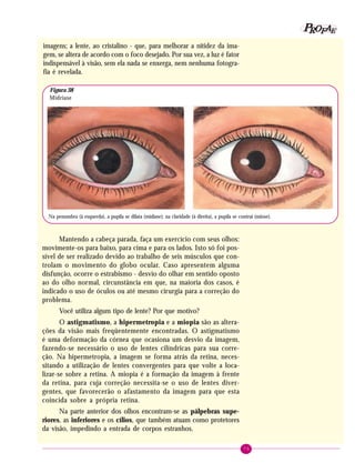 75
PPPPP EEEEEAAAAARRRRROOOOOFFFFF
imagens; a lente, ao cristalino - que, para melhorar a nitidez da ima-
gem, se altera de acordo com o foco desejado. Por sua vez, a luz é fator
indispensável à visão, sem ela nada se enxerga, nem nenhuma fotogra-
fia é revelada.
Na penumbra (à esquerda), a pupila se dilata (midíase); na claridade (à direita), a pupila se contrai (miose).
Figura 38
Midríase
Mantendo a cabeça parada, faça um exercício com seus olhos:
movimente-os para baixo, para cima e para os lados. Isto só foi pos-
sível de ser realizado devido ao trabalho de seis músculos que con-
trolam o movimento do globo ocular. Caso apresentem alguma
disfunção, ocorre o estrabismo - desvio do olhar em sentido oposto
ao do olho normal, circunstância em que, na maioria dos casos, é
indicado o uso de óculos ou até mesmo cirurgia para a correção do
problema.
Você utiliza algum tipo de lente? Por que motivo?
O astigmatismo, a hipermetropia e a miopia são as altera-
ções da visão mais freqüentemente encontradas. O astigmatismo
é uma deformação da córnea que ocasiona um desvio da imagem,
fazendo-se necessário o uso de lentes cilíndricas para sua corre-
ção. Na hipermetropia, a imagem se forma atrás da retina, neces-
sitando a utilização de lentes convergentes para que volte a loca-
lizar-se sobre a retina. A miopia é a formação da imagem à frente
da retina, para cuja correção necessita-se o uso de lentes diver-
gentes, que favorecerão o afastamento da imagem para que esta
coincida sobre a própria retina.
Na parte anterior dos olhos encontram-se as pálpebras supe-
riores, as inferiores e os cílios, que também atuam como protetores
da visão, impedindo a entrada de corpos estranhos.
 