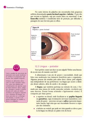 76
1 Anatomia e Fisiologia
No canto interno da pálpebra são encontrados dois pequenos
orifícios denominados ponto lacrimal superior e inferior. É por eles
que escoam as lágrimas, seja por reação física ou emocional. A so-
brancelha também é considerada fator de proteção, por dificultar a
passagem do suor da testa para os olhos.
Bordo da
pálpebra
superior
Bordo da
pálpebra
inferior
Ponto lacrimal
superior
Ponto lacrimal
inferior
Figura 39
Pálpebra e ponto lacrimal
Com o auxílio de uma lente de
aumento você pode facilmen-
te verificar as pequenas sali-
ências das papilas linguais.
Embora os alimentos ofere-
çam os mais variados sabo-
res, estes são obtidos por
combinações de apenas qua-
tro tipos básicos: doce, salga-
do, amargo e azedo. A identi-
ficação de cada um deles
acontece em lugares específi-
cos e distintos da língua: na
base percebe-se o amargo;
nas bordas, o azedo e na
ponta distingue-se melhor o
doce e o salgado.
12.2 Língua – paladar
Você prefere comer um doce ou um salgado? Beber uma limona-
da ou um suco de mamão com leite?
A alimentação é um ato de prazer e necessidade, desde que
feita com moderação traz inúmeros benefícios para o organismo,.
Algumas pessoas são atraídas pelo sabor doce; outras, pelo salgado,
mas independente de sua preferência é na língua que ocorre a distin-
ção desses sabores, além do azedo e do amargo.
A língua, que também participa na emissão do som, é for-
mada por uma massa de tecido muscular estriado, recoberta por
uma mucosa. Possui forma achatada e ligeiramente cônica. É
composta por duas partes:
• a superior ou dorsal, onde localizam-se as papilas linguais
ou gustativas, cujas terminações nervosas transmitem a sen-
sação do gosto – processo em que a saliva representa impor-
tante função, haja vista que sua viscosidade favorece a capta-
ção dos estímulos;
• a inferior ou ventral, que pode ser vista quando se eleva a pon-
ta da língua em direção ao palato (céu da boca)
 