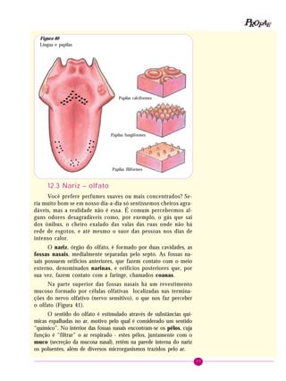 77
PPPPP EEEEEAAAAARRRRROOOOOFFFFF
12.3 Nariz – olfato
Você prefere perfumes suaves ou mais concentrados? Se-
ria muito bom se em nosso dia-a-dia só sentíssemos cheiros agra-
dáveis, mas a realidade não é essa. É comum percebermos al-
guns odores desagradáveis como, por exemplo, o gás que sai
dos ônibus, o cheiro exalado das valas das ruas onde não há
rede de esgotos, e até mesmo o suor das pessoas nos dias de
intenso calor.
O nariz, órgão do olfato, é formado por duas cavidades, as
fossas nasais, medialmente separadas pelo septo. As fossas na-
sais possuem orifícios anteriores, que fazem contato com o meio
externo, denominados narinas, e orifícios posteriores que, por
sua vez, fazem contato com a faringe, chamados coanas.
Na parte superior das fossas nasais há um revestimento
mucoso formado por células olfativas localizadas nas termina-
ções do nervo olfativo (nervo sensitivo), o que nos faz perceber
o olfato (Figura 41).
O sentido do olfato é estimulado através de substâncias quí-
micas espalhadas no ar, motivo pelo qual é considerado um sentido
“químico”. No interior das fossas nasais encontram-se os pêlos, cuja
função é “filtrar” o ar respirado - estes pêlos, juntamente com o
muco (secreção da mucosa nasal), retêm na parede interna do nariz
os poluentes, além de diversos microrganismos trazidos pelo ar.
Figura 40
Língua e papilas
Papilas fungiformes
Papilas calciformes
Papilas filiformes
 