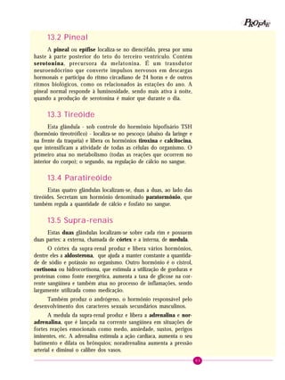 83
PPPPP EEEEEAAAAARRRRROOOOOFFFFF
13.2 Pineal
A pineal ou epífise localiza-se no diencéfalo, presa por uma
haste à parte posterior do teto do terceiro ventrículo. Contém
serotonina, precursora da melatonina. É um transdutor
neuroendócrino que converte impulsos nervosos em descargas
hormonais e participa do ritmo circadiano de 24 horas e de outros
ritmos biológicos, como os relacionados às estações do ano. A
pineal normal responde à luminosidade, sendo mais ativa à noite,
quando a produção de serotonina é maior que durante o dia.
13.3 Tireóide
Esta glândula - sob controle do hormônio hipofisário TSH
(hormônio tireotrófico) - localiza-se no pescoço (abaixo da laringe e
na frente da traquéia) e libera os hormônios tiroxina e calcitocina,
que intensificam a atividade de todas as células do organismo. O
primeiro atua no metabolismo (todas as reações que ocorrem no
interior do corpo); o segundo, na regulação de cálcio no sangue.
13.4 Paratireóide
Estas quatro glândulas localizam-se, duas a duas, ao lado das
tireóides. Secretam um hormônio denominado paratormônio, que
também regula a quantidade de cálcio e fosfato no sangue.
13.5 Supra-renais
Estas duas glândulas localizam-se sobre cada rim e possuem
duas partes: a externa, chamada de córtex e a interna, de medula.
O córtex da supra-renal produz e libera vários hormônios,
dentre eles a aldosterona, que ajuda a manter constante a quantida-
de de sódio e potássio no organismo. Outro hormônio é o cistrol,
cortisona ou hidrocortisona, que estimula a utilização de gorduras e
proteínas como fonte energética, aumenta a taxa de glicose na cor-
rente sangüínea e também atua no processo de inflamações, sendo
largamente utilizada como medicação.
Também produz o andrógeno, o hormônio responsável pelo
desenvolvimento dos caracteres sexuais secundários masculinos.
A medula da supra-renal produz e libera a adrenalina e nor-
adrenalina, que é lançada na corrente sangüínea em situações de
fortes reações emocionais como medo, ansiedade, sustos, perigos
iminentes, etc. A adrenalina estimula a ação cardíaca, aumenta o seu
batimento e dilata os brônquios; noradrenalina aumenta a pressão
arterial e diminui o calibre dos vasos.
 