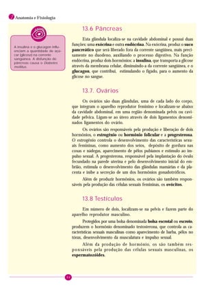84
1 Anatomia e Fisiologia
A insulina e o glucagon influ-
enciam a quantidade de açú-
car (glicose) na corrente
sangüínea. A disfunção do
pâncreas causa o Diabetes
mellitus.
13.6 Pâncreas
Esta glândula localiza-se na cavidade abdominal e possui duas
funções: uma exócrina e outra endócrina. Na exócrina, produz o suco
pancreático que será liberado fora da corrente sangüínea, mais preci-
samente no duodeno, auxiliando o processo digestivo. Na função
endócrina, produz dois hormônios: a insulina, que transporta a glicose
através da membrana celular, diminuindo-a da corrente sangüínea, e o
glucagon, que contribui, estimulando o fígado, para o aumento da
glicose no sangue.
13.7. Ovários
Os ovários são duas glândulas, uma de cada lado do corpo,
que integram o aparelho reprodutor feminino e localizam-se abaixo
da cavidade abdominal, em uma região denominada pelvis ou cavi-
dade pélvica. Ligam-se ao útero através de dois ligamentos denomi-
nados ligamentos do ovário.
Os ovários são responsáveis pela produção e liberação de dois
hormônios, o estrogênio ou hormônio folicular e a progesterona.
O estrogênio controla o desenvolvimento das características sexu-
ais femininas, como aumento dos seios, depósito de gordura nas
coxas e nádegas, aparecimento de pêlos pubianos e estímulo ao im-
pulso sexual. A progesterona, responsável pela implantação do óvulo
fecundado na parede uterina e pelo desenvolvimento inicial do em-
brião, estimula o desenvolvimento das glândulas mamárias e da pla-
centa e inibe a secreção de um dos hormônios gonadotróficos.
Além de produzir hormônios, os ovários são também respon-
sáveis pela produção das células sexuais femininas, os ovócitos.
13.8 Testículos
Em número de dois, localizam-se na pelvis e fazem parte do
aparelho reprodutor masculino.
Protegidos por uma bolsa denominada bolsa escrotal ou escroto,
produzem o hormônio denominado testosterona, que controla as ca-
racterísticas sexuais masculinas como aparecimento de barba, pêlos no
tórax, desenvolvimento da musculatura e impulso sexual.
Além da produção de hormônio, os são também res-
ponsáveis pela produção das células sexuais masculinas, os
espermatozóides.
 