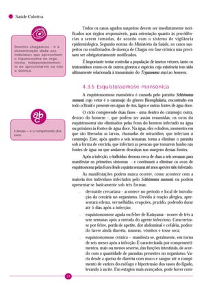 58
Saúde Coletiva
Todos os casos agudos suspeitos devem ser imediatamente noti-
ficados aos órgãos responsáveis, para orientação quanto às providên-
cias a serem tomadas, de acordo com o sistema de vigilância
epidemiológica. Segundo norma do Ministério da Saúde, os casos sus-
peitos ou confirmados de doença de Chagas em fase crônica não preci-
sam ser obrigatoriamente notificados.
É importante tentar controlar a população de insetos vetores, tanto os
triatomídeos como os de outros gêneros e espécies cuja existência tem sido
ultimamente relacionada à transmissão do Trypanosoma cruzi ao homem.
4.3.5 Esquistossomose mansônica
A esquistossomose mansônica é causada pelo parasita Schistosoma
mansoni, cujo vetor é o caramujo do gênero Biomphalaria, encontrado em
todo o Brasil e presente em águas de rios, lagos e outras fontes de água doce.
O ciclo compreende duas fases - uma dentro do caramujo; outra,
dentro do homem -, que podem ser assim resumidas: os ovos do
esquistossoma são eliminados pelas fezes do homem infectado na água
ou próximo às fontes de água doce. Na água, eles eclodem, momento em
que são liberadas as larvas, chamadas de miracídios, que infectam o
caramujo. Este, após quatro a seis semanas, torna a eliminar o parasita
sob a forma de cercária, que infectará as pessoas que tomarem banho nas
fontes de água ou que andarem descalças nas margens dessas fontes.
Após a infecção, o indivíduo demora cerca de duas a seis semanas para
manifestar os primeiros sintomas - e continuará a eliminar os ovos de
esquistossomapelasfezesdesdeaquintasemanaatéanosapóstersidoinfectado.
As manifestações podem nunca ocorrer, como acontece com a
maioria dos indivíduos infectados pelo Schistosoma mansoni, ou podem
apresentar-se basicamente sob três formas:
– dermatite cercariana - acontece no período e local de introdu-
ção da cercária no organismo. Devido à reação alérgica, apre-
sentará edema, vermelhidão, erupções, prurido, podendo durar
até 5 dias após a infecção;
– esquistossomose aguda ou febre de Katayama - ocorre de três a
sete semanas após a entrada do agente infeccioso. Caracteriza-
se por febre, perda de apetite, dor abdominal e cefaléia, poden-
do haver ainda diarréia, náuseas, vômitos e tosse seca;
– esquistossomose crônica – manifesta-se, geralmente, em torno
de seis meses após a infecção É caracterizada por comprometi-
mentos, mais ou menos severos, das funções intestinais, de acor-
do com a quantidade de parasitas presentes no organismo. Va-
ria desde a queixa de diarréia com muco e sangue até o rompi-
mento de varizes do esôfago e hipertensão dos vasos do fígado,
levando à ascite. Em estágios mais avançados, pode haver com-
Eclosão – é o rompimento dos
ovos.
Doentes chagásicos - é a
denominação dada aos
indivíduos que apresentam
o tripanossoma no orga-
nismo, independentemen-
te de apresentarem ou não
a doença.
 