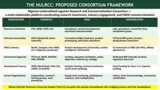 THE NULRCC: PROPOSED CONSORTIUM FRAMEWORK
Nigerian Underutilized Legumes Research and Commercialization Consortium —
a multi-stakeholder platform coordinating research investment, industry engagement, and FMCG commercialization
STAKEHOLDER EXAMPLES ROLE CONTRIBUTION
Research Institutions IITA, IAR&T, NCRI, SUL Germplasm, varietal development,
nutritional characterization
Labs, germplasm, researcher time,
competitive grants
Technical Universities AATU (Ibadan) & others
nationally
Translational R&D, food tech, product
prototyping, pilot plant operations
TETFund NRF grants, faculty +
postgraduate researchers
FMCG Industry Nestlé, Dangote, Flour Mills,
Chi, indigenous processors
Product development partnership, market
intelligence, distribution
Co-investment in R&D (30–40%); offtake
agreements
Government Agencies TETFund, ARCN, NAFDAC,
SON, FMARD
Funding, regulatory facilitation, policy
alignment, national ag. strategy
Dedicated NRF thematic window;
regulatory fast-track
Development Finance AfDB, World Bank, IFAD, GIZ,
USAID, EU DeSIRA
Catalytic funding, technical assistance,
south-south exchange
Grant funding for Years 1–5; capacity
building
Farmer Organizations Cooperatives, women's
farming groups, seed
enterprises
Supply chain anchoring, participatory
research, seed multiplication
Labour, land, local knowledge, community
mobilization
Abiola Ajimobi Technical University Ibadan (Tech-U) occupies the pivotal translational role: bridging science and the marketplace.
 