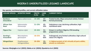 NIGERIA'S UNDERUTILIZED LEGUMES LANDSCAPE
Key species, nutritional profiles, and current utilization status
LEGUME SPECIES SCIENTIFIC NAME PROTEI
N (%)
CARB.
(%)
CURRENT STATUS
Bambara
Groundnut
Vigna subterranea 19–28% 57–
68%
Traded locally; Okpa consumed widely; limited
formal processing
African Yam
Bean
Sphenostylis
stenocarpa
21–29% 42–
55%
Subsistence crop; declining cultivation; high
nutritional value
Pigeon Pea Cajanus cajan 20–26% 51–
58%
Grown in northern Nigeria; IITA breeding
programmes active
Kersting's
Groundnut
Macrotyloma
geocarpum
18–25% 55–
65%
Endangered; very limited cultivation; high cultural
value in N. Nigeria
Winged Bean Psophocarpus
tetragonolobus
29–39% 23–
40%
★ Highest protein of all; virtually all parts edible;
almost no cultivation
Sources: Ikhajiagbe et al. (2022); Odeku et al. (2024); Ojuederie et al. (2025)
 