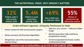 THE NUTRITIONAL CRISIS: WHY URGENCY MATTERS
32%
Children under 5
with stunting
(UNICEF, 2024)
5.4M
Children in acute
malnutrition
(NE/NW, 2024)
+69%
Rise in SAM cases
vs. 2023 (IPC, 2024)
55%
Women of
reproductive age
affected by anaemia
Underutilized Legumes: Uniquely Positioned to Help
• Protein content 18–39% (rivals/exceeds cowpea)
• High iron, zinc, calcium — addresses hidden
hunger
• African yam bean: 62.9% protein digestibility
• Bambara groundnut: high methionine
(complements cereals)
• Winged bean: one of the most protein-dense
legumes known
• Can be incorporated into bread, noodles,
complementary foods
Economic cost of malnutrition: up to 11% of GDP (UNICEF, 2024)
 