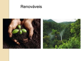 Renováveis 
 