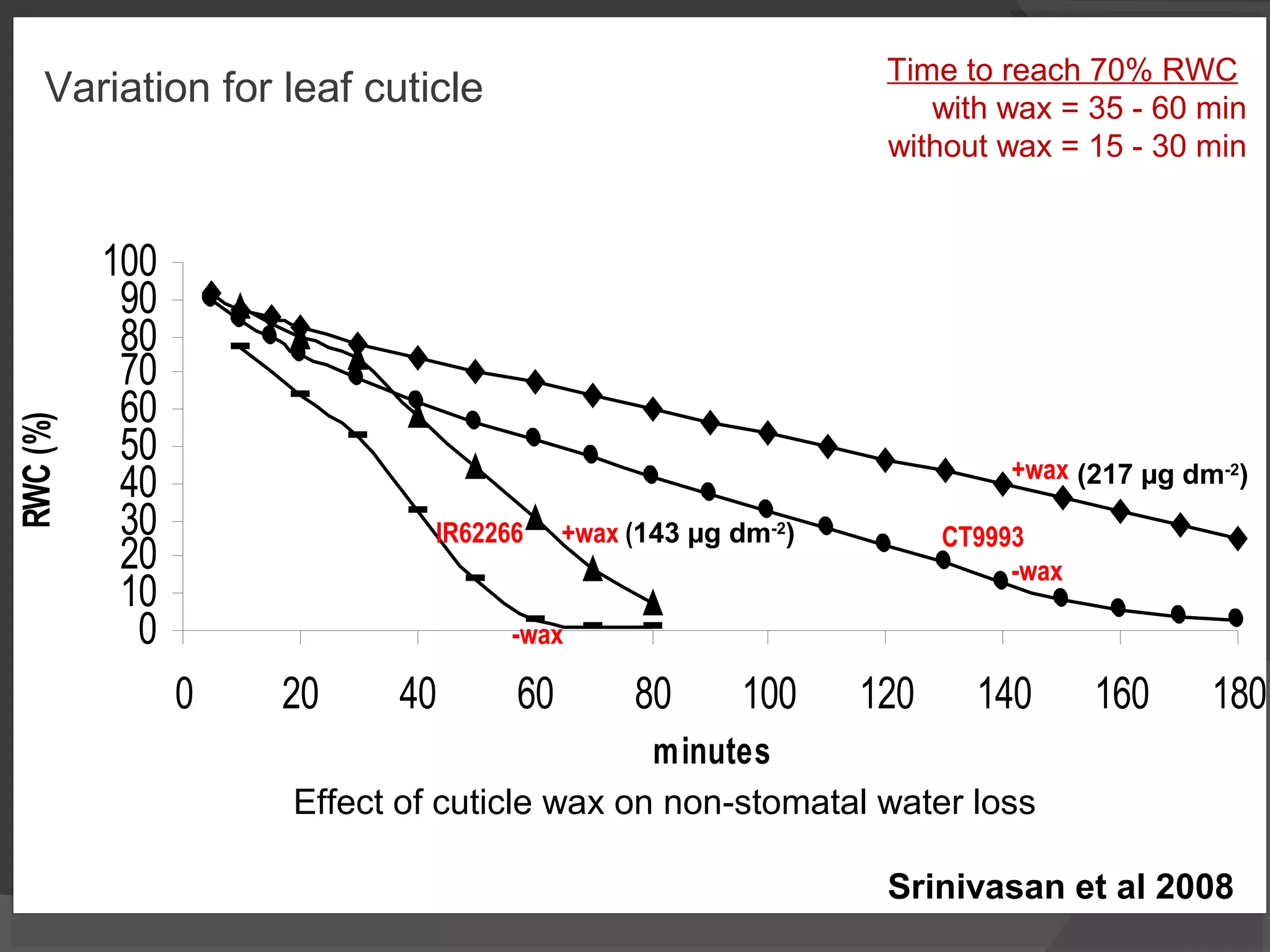 0
10
20
30
40
50
60
70
80
90
100
0 20 40 60 80 100 120 140 160 180
minutes
RWC(%)
Time to reach 70% RWC
with wax = 35 - 60 min
without wax = 15 - 30 min
+wax
 
CT9993
-wax
 
IR62266 +wax (143 µg dm-2
)
-wax
Effect of cuticle wax on non-stomatal water loss
(217 µg dm-2
)
Variation for leaf cuticle
Srinivasan et al 2008
 