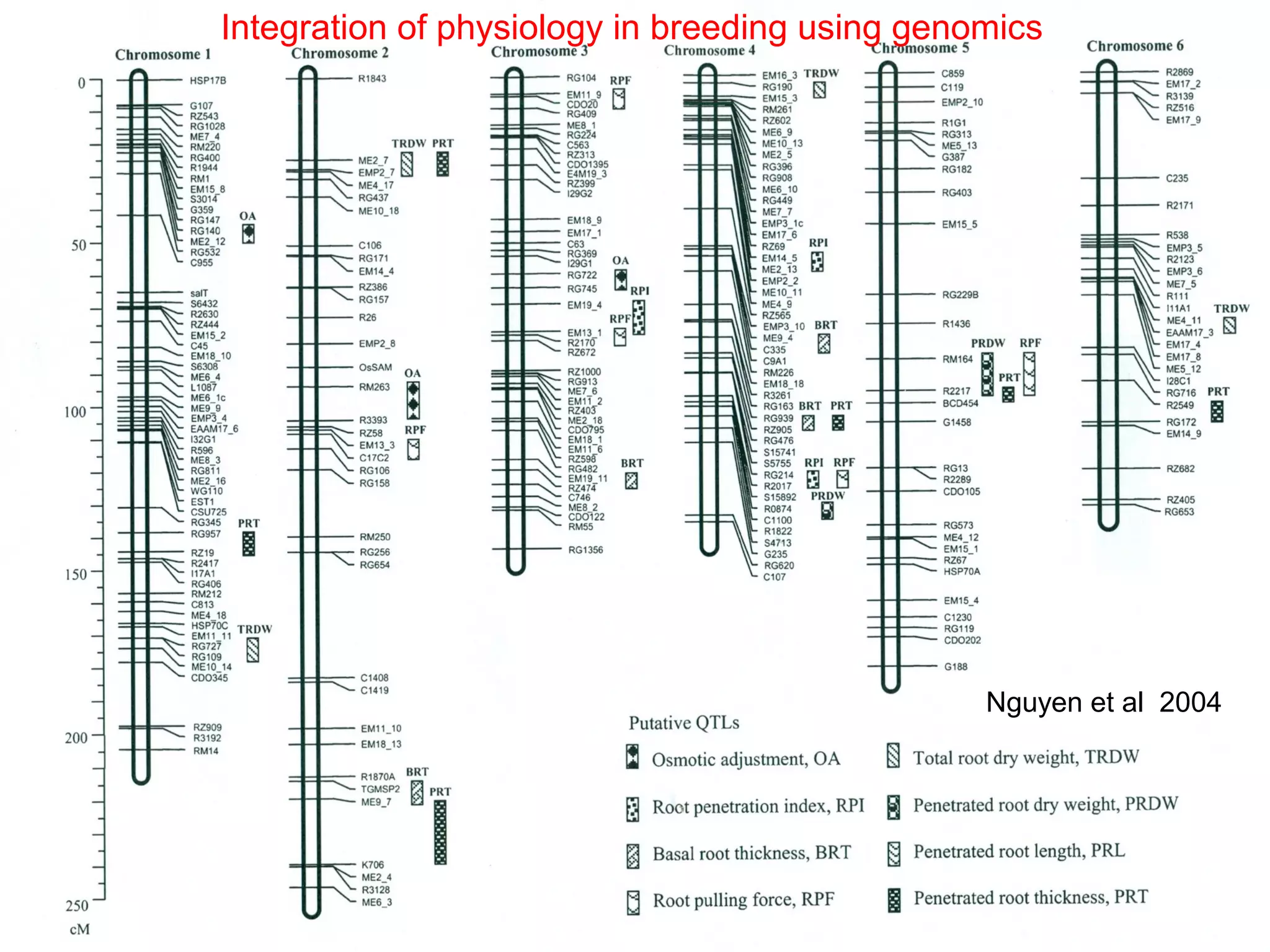 Nguyen et al 2004
Integration of physiology in breeding using genomics
 