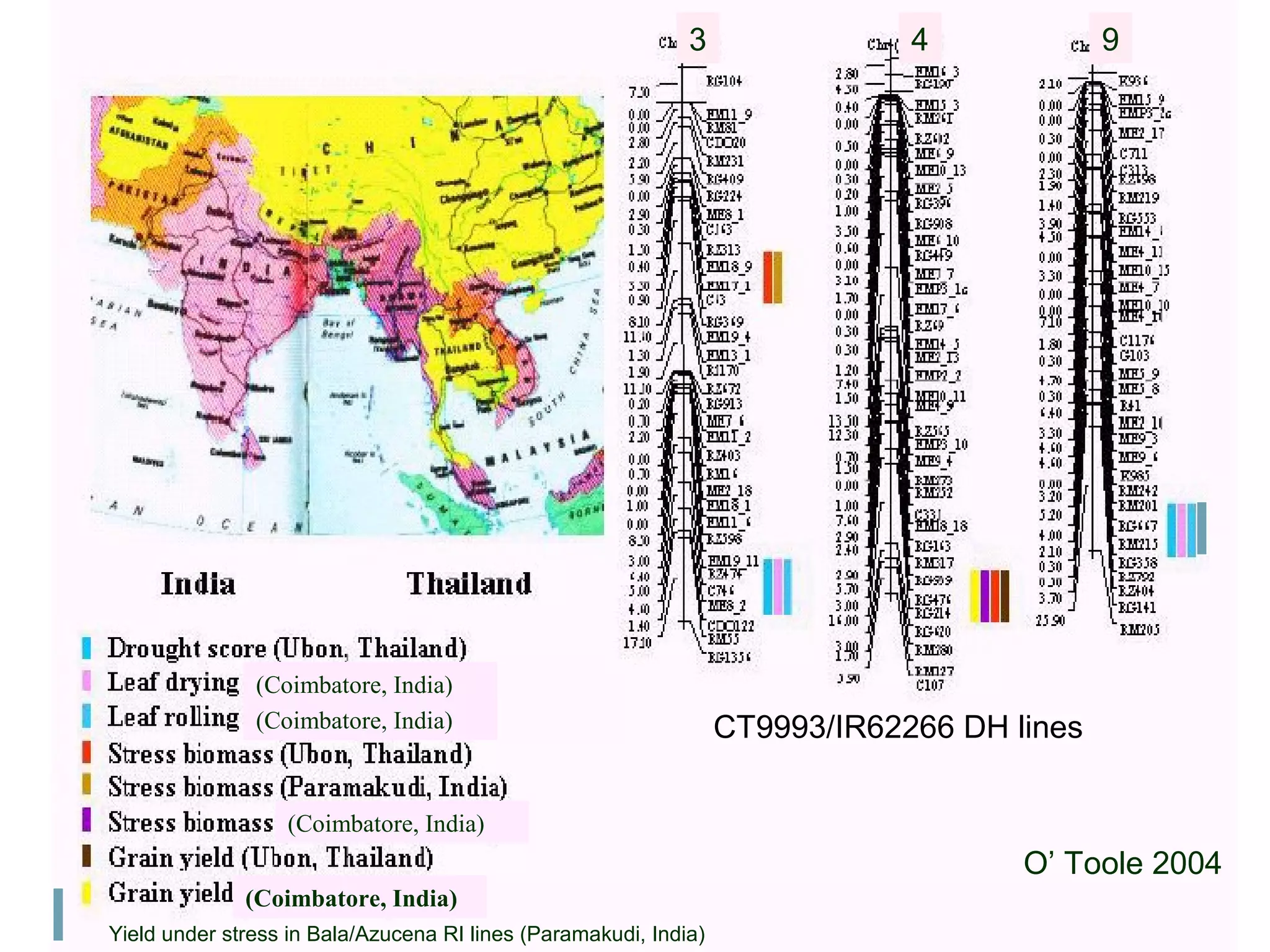 O’ Toole 2004
(Coimbatore, India)
(Coimbatore, India)
(Coimbatore, India)
(Coimbatore, India)
Yield under stress in Bala/Azucena RI lines (Paramakudi, India)
3 4 9
CT9993/IR62266 DH lines
 