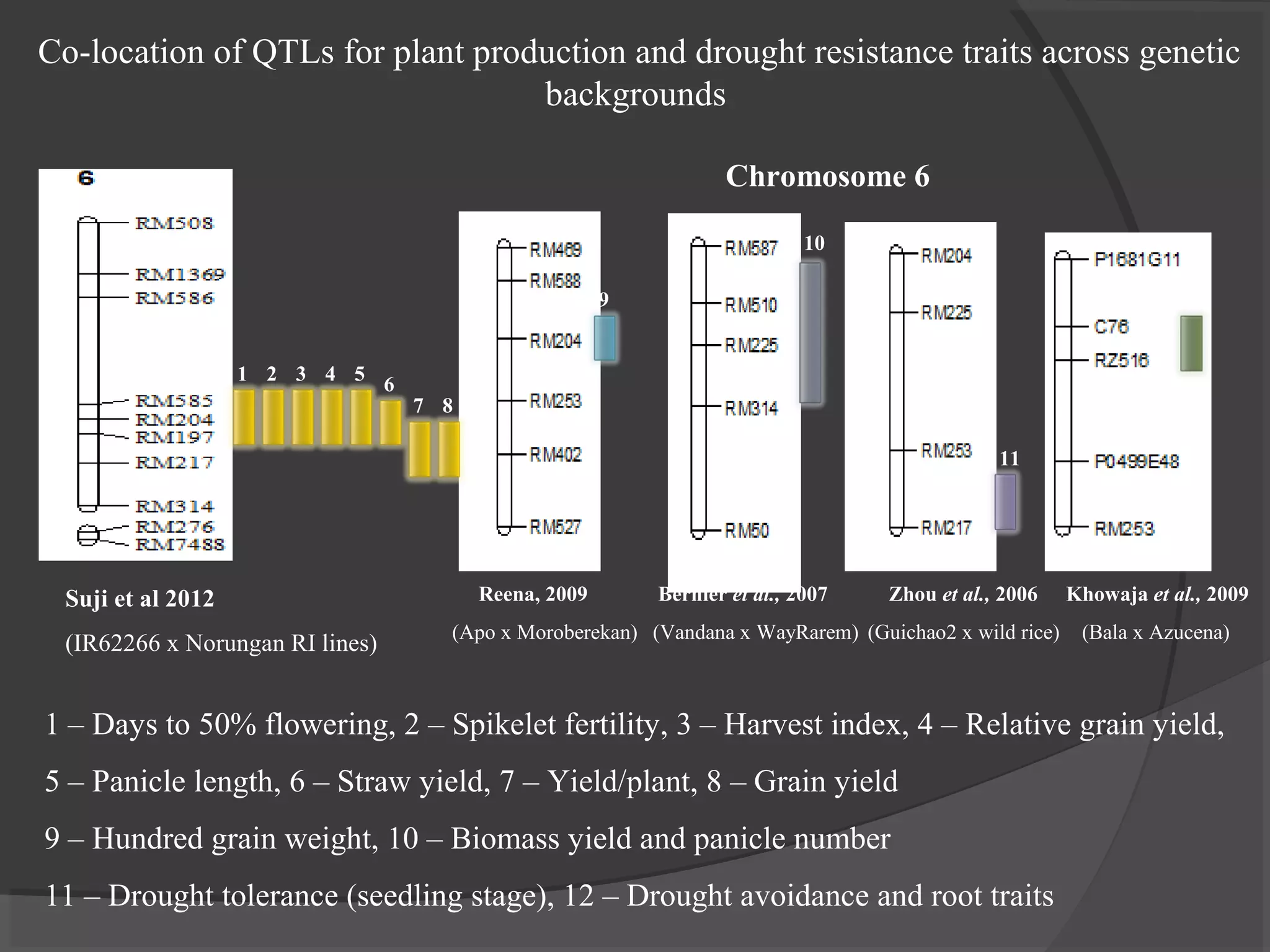 Suji et al 2012
(IR62266 x Norungan RI lines)
Chromosome 6
Reena, 2009
(Apo x Moroberekan)
Bernier et al., 2007
(Vandana x WayRarem)
Zhou et al., 2006
(Guichao2 x wild rice)
Khowaja et al., 2009
(Bala x Azucena)
1 2
87
3 4 5
6
9
10
11
12
Co-location of QTLs for plant production and drought resistance traits across genetic
backgrounds
1 – Days to 50% flowering, 2 – Spikelet fertility, 3 – Harvest index, 4 – Relative grain yield,
5 – Panicle length, 6 – Straw yield, 7 – Yield/plant, 8 – Grain yield
9 – Hundred grain weight, 10 – Biomass yield and panicle number
11 – Drought tolerance (seedling stage), 12 – Drought avoidance and root traits
 