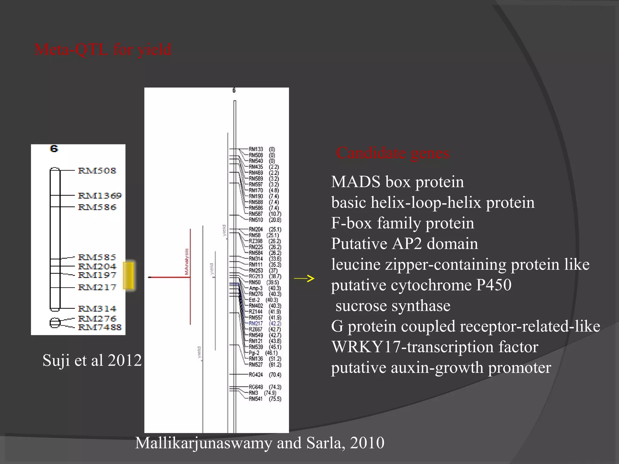 Meta-QTL for yield
Mallikarjunaswamy and Sarla, 2010
Suji et al 2012
MADS box protein
basic helix-loop-helix protein
F-box family protein
Putative AP2 domain
leucine zipper-containing protein like
putative cytochrome P450
sucrose synthase
G protein coupled receptor-related-like
WRKY17-transcription factor
putative auxin-growth promoter
Candidate genes
 