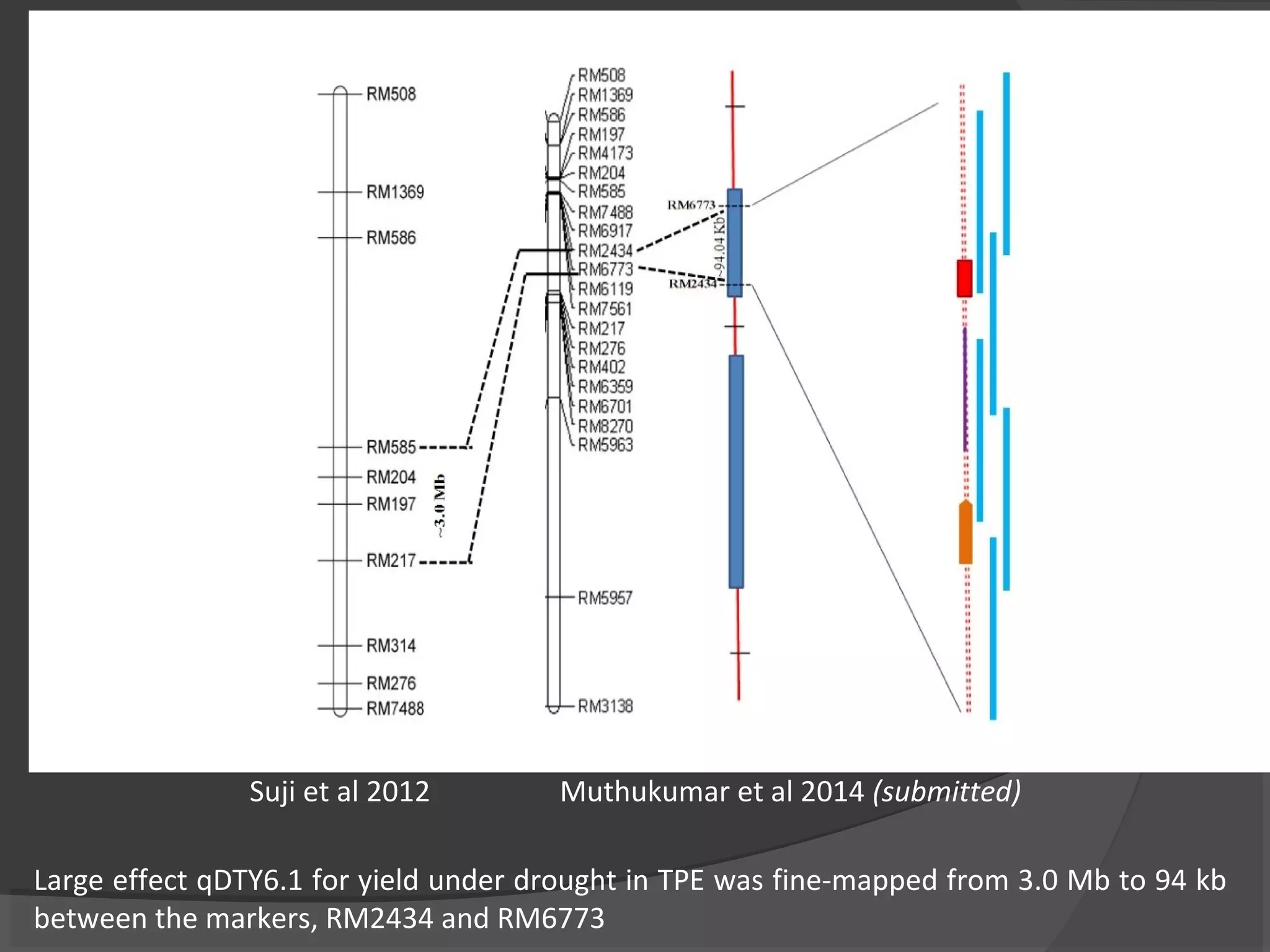 Large effect qDTY6.1 for yield under drought in TPE was fine-mapped from 3.0 Mb to 94 kb
between the markers, RM2434 and RM6773
Muthukumar et al 2014 (submitted)Suji et al 2012
 