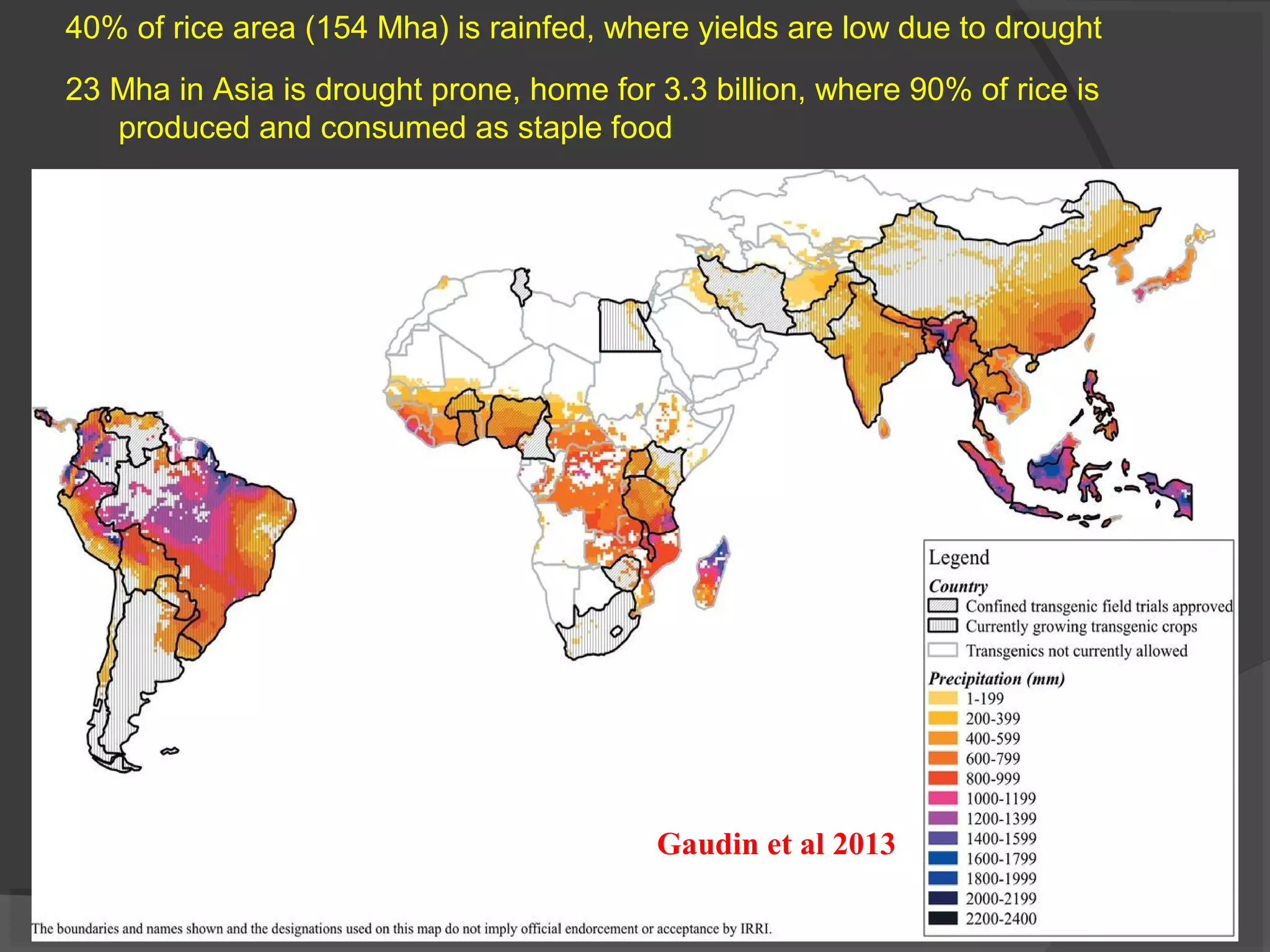 Gaudin et al 2013
40% of rice area (154 Mha) is rainfed, where yields are low due to drought
23 Mha in Asia is drought prone, home for 3.3 billion, where 90% of rice is
produced and consumed as staple food
 
