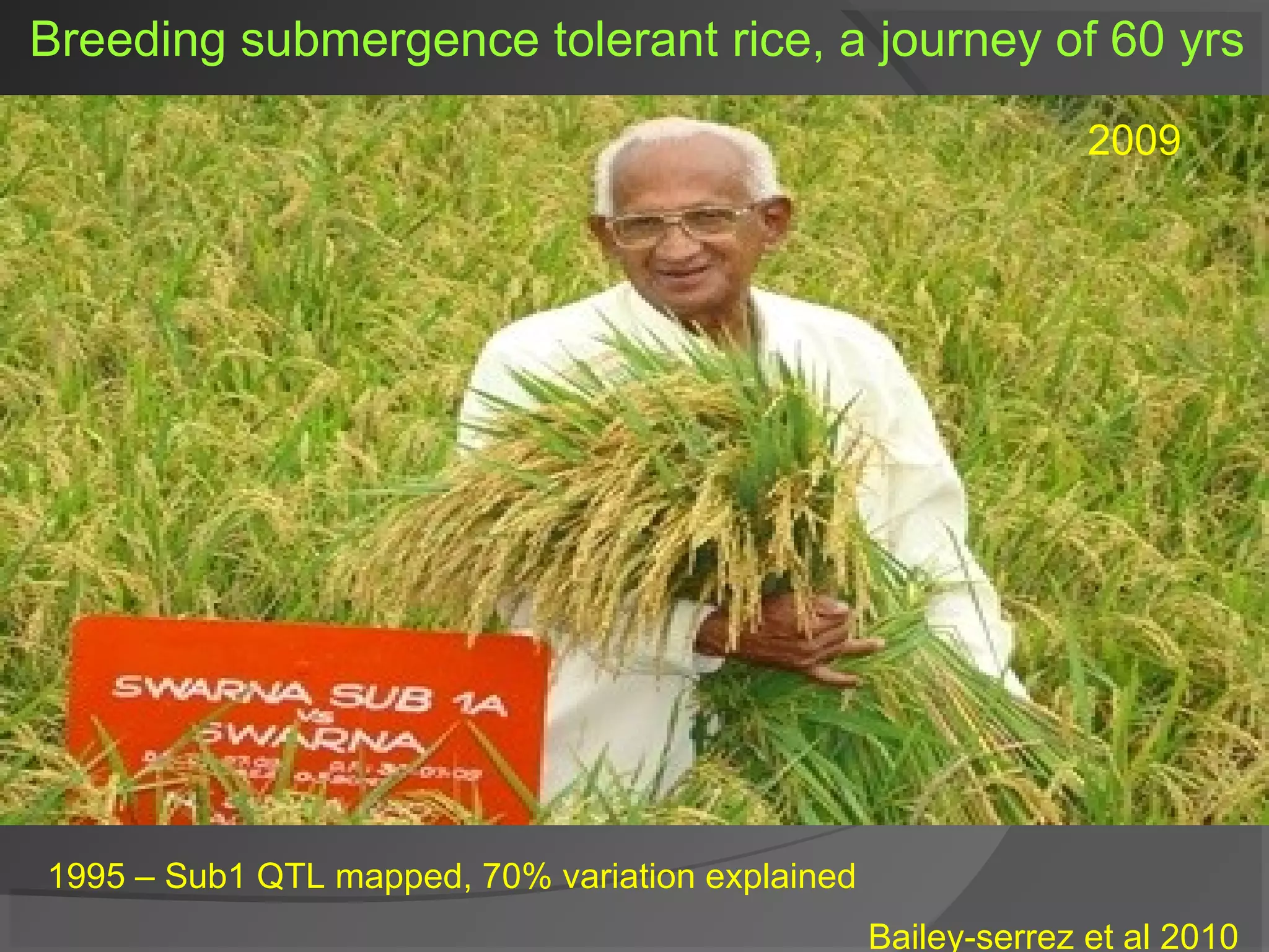 Breeding submergence tolerant rice, a journey of 60 yrs
Bailey-serrez et al 2010
1995 – Sub1 QTL mapped, 70% variation explained
2009
 
