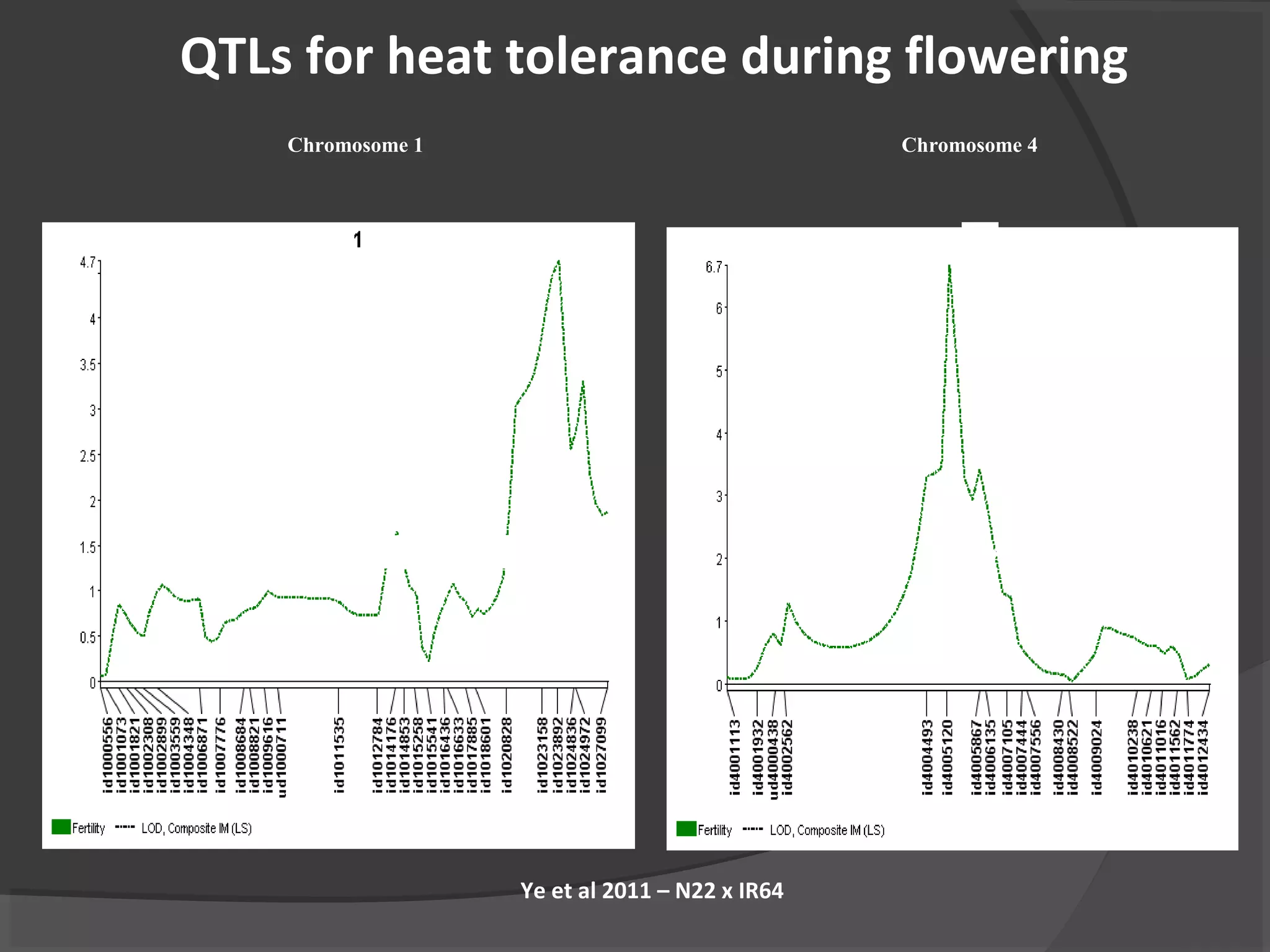Chromosome 1 Chromosome 4
Chromosome 1
qHTSF1.1
Chromosome 1
qHTSF4.1
Chromosome 4
QTLs for heat tolerance during flowering
Ye et al 2011 – N22 x IR64
 