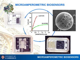 MICROAMPEROMETRIC BIOSENSORS

                    40

                                  LACTATE
                    30


                    20
                                       GLUCOSE

                    10


                    0    0
                             0.5   1  1.5   2   2.5
                               [SUBSTRATE] (mM)




UNIVERSITY OF
CAMBRIDGE                        MICROAMPEROMETRIC BIOSENSORS
 