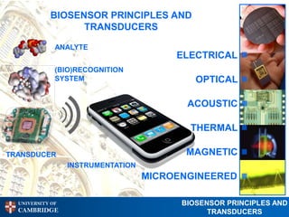BIOSENSOR PRINCIPLES AND
                  TRANSDUCERS

              ANALYTE
                                         ELECTRICAL
              (BIO)RECOGNITION
              SYSTEM                         OPTICAL

                                           ACOUSTIC

                                            THERMAL

TRANSDUCER                                 MAGNETIC
                  INSTRUMENTATION
                                    MICROENGINEERED

  UNIVERSITY OF                           BIOSENSOR PRINCIPLES AND
  CAMBRIDGE                                     TRANSDUCERS
 