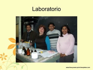 Laboratorio
 