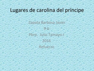 Lugares de carolina del príncipe
Zapata Barbosa Javier
9-b
Pbro. Julio Tamayo r
2016
Refuerzo