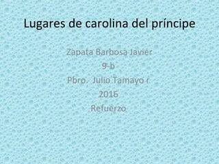 Lugares de carolina del príncipe
Zapata Barbosa Javier
9-b
Pbro. Julio Tamayo r
2016
Refuerzo
 