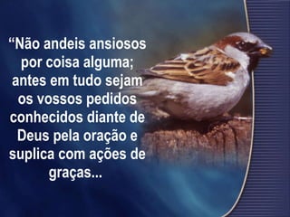 “ Não andeis ansiosos por coisa alguma; antes em tudo sejam os vossos pedidos conhecidos diante de Deus pela oração e suplica com ações de graças...  