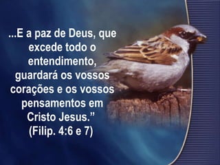 ...E a paz de Deus, que excede todo o entendimento, guardará os vossos corações e os vossos pensamentos em Cristo Jesus.”  (Filip. 4:6 e 7)   