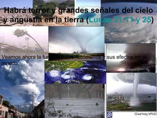 Habrá terror y grandes señales del cielo y angustia en la tierra ( Lucas 21:11 y 25 ) Veamos ahora la furia de estos fenómenos y sus efectos en el mundo. 