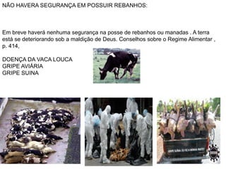 NÃO HAVERA SEGURANÇA EM POSSUIR REBANHOS:
Em breve haverá nenhuma segurança na posse de rebanhos ou manadas . A terra
está se deteriorando sob a maldição de Deus. Conselhos sobre o Regime Alimentar ,
p. 414,
DOENÇA DA VACA LOUCA
GRIPE AVIÁRIA
GRIPE SUINA
 