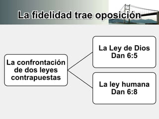 La fidelidad trae oposición
La confrontación
de dos leyes
contrapuestas
La Ley de Dios
Dan 6:5
La ley humana
Dan 6:8
 