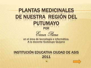 PLANTAS MEDICINALES
DE NUESTRA REGIÓN DEL
      PUTUMAYO
                     POR

              Eimer Parra
     en el área de tecnología e informática.
        A la docente Gudalupe Quijano



INSTITUCIÓN EDUCATIVA CIUDAD DE ASIS
               2011
 