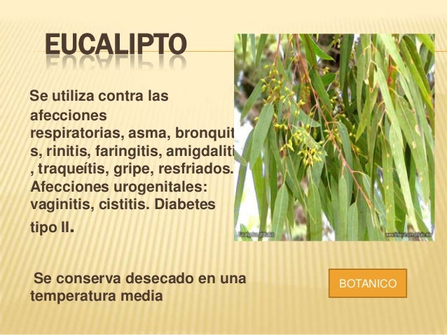 Plantas Medicinales Del Putumayo
