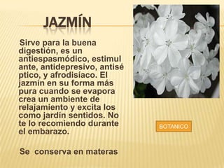 JAZMÍN
Sirve para la buena
digestión, es un
antiespasmódico, estimul
ante, antidepresivo, antisé
ptico, y afrodisíaco. El
jazmín en su forma más
pura cuando se evapora
crea un ambiente de
relajamiento y excita los
como jardín sentidos. No
te lo recomiendo durante
el embarazo.
Se conserva en materas
BOTANICO
 