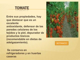 TOMATE
Entre sus propiedades, hay
que destacar que es un
excelente
antioxidante, defensor de las
paredes celulares de los
tejidos y la piel, depurador de
productos tóxicos
(recomendable en dietas de
adelgazamiento).
Se conserva en
refrigeradores y en huertas
caseras
BOTANICO
 