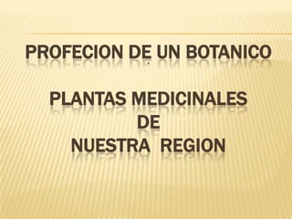 PROFECION DE UN BOTANICO
PLANTAS MEDICINALES
DE
NUESTRA REGION
:
 