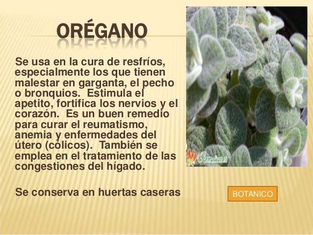 PROFECION BOTANICA PROFECION BOTANICA