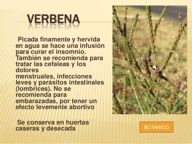 PROFECION BOTANICA PROFECION BOTANICA