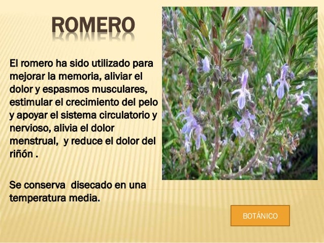 Profecion botanica Profecion botanica