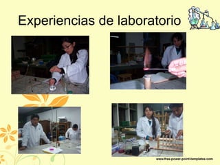 Experiencias de laboratorio