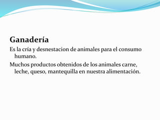 Ganadería
Es la cría y desnestacion de animales para el consumo
humano.
Muchos productos obtenidos de los animales carne,
leche, queso, mantequilla en nuestra alimentación.
 