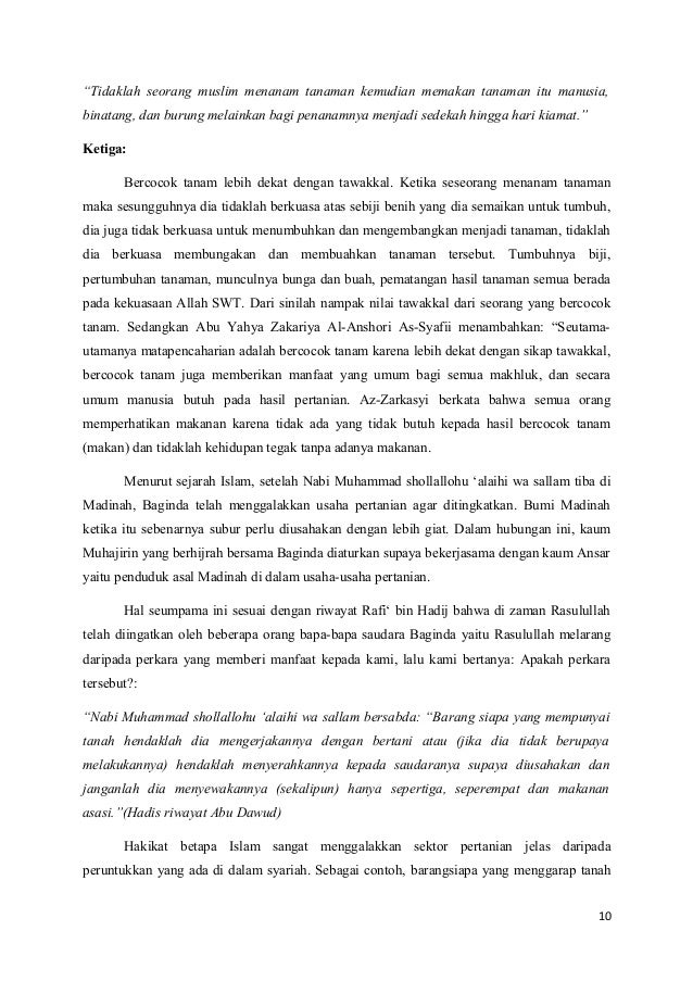 Hari Baik Bercocok Tanam Menurut Islam Berbagi Tanam