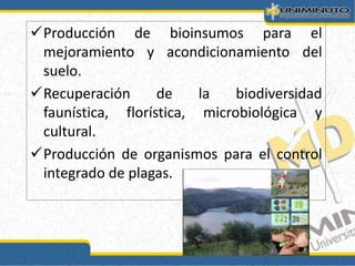 Producción de bioinsumos para el
mejoramiento y acondicionamiento del
suelo.
Recuperación de la biodiversidad
faunística, florística, microbiológica y
cultural.
Producción de organismos para el control
integrado de plagas.