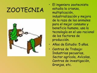 ZOOTECNIA
• El ingeniero zootecnista
estudia la crianza,
multiplicación,
industrialización y mejora
de la raza de los animales
para el mejor consumo y
beneficio humano, usa la
tecnología en el uso racional
de los factores de
producción.
• Años de Estudio: 5 años.
• Centros de Trabajo:
Industrias pecuarias,
Sector agrícola, Avícolas,
Centros de investigación,
Granjas, etc.
 