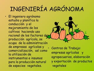 INGENIERÍA AGRÓNOMA
• El ingeniero agrónomo
estudia y planifica la
conducción y el
mejoramiento de los
cultivos haciendo uso
racional de los factores de
producción agrícola, se
ocupa de la administración
de empresas agrícolas y
comercialización, así como
la utilización de
instrumentos e insumos
para la producción natural
de especies vegetales.
• Centros de Trabajo:
empresas agrícolas y
agropecuarios, elaboración
y exportación de productos
vegetales
 
