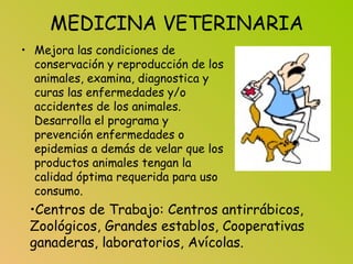 MEDICINA VETERINARIA
• Mejora las condiciones de
conservación y reproducción de los
animales, examina, diagnostica y
curas las enfermedades y/o
accidentes de los animales.
Desarrolla el programa y
prevención enfermedades o
epidemias a demás de velar que los
productos animales tengan la
calidad óptima requerida para uso
consumo.
•Centros de Trabajo: Centros antirrábicos,
Zoológicos, Grandes establos, Cooperativas
ganaderas, laboratorios, Avícolas.
 
